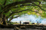 大亚湾石化区(大亚湾石化区，中国重要的石油石化基地)